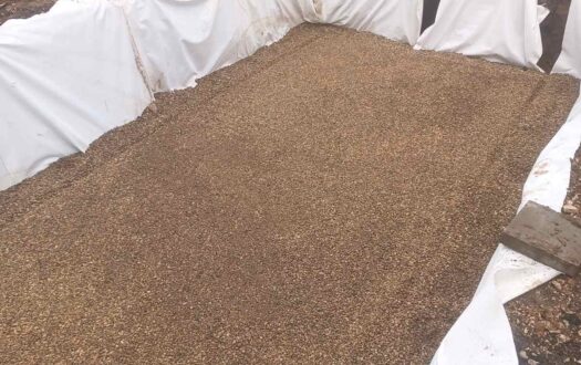 0 02 05 020ba565945bd95bdb8cfed5127be994a6966ecb77348db6d0ffc5342d3495c5 8103f43c4329dd1c